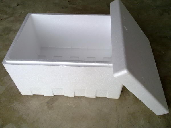 Easy DIY Planter Made Out Of Foam Box 