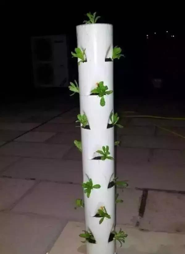 DIY PVP Pipe Planter 